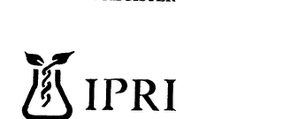 IPRI logo
