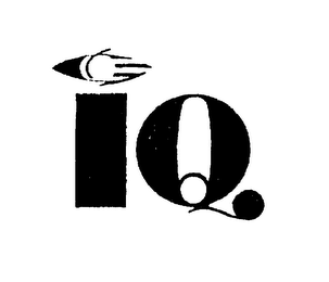 IQ logo