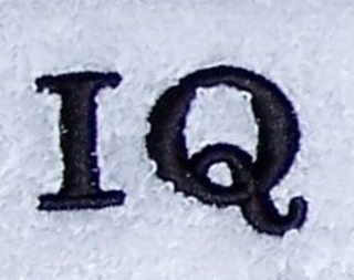 IQ logo