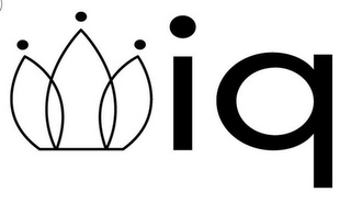 IQ logo