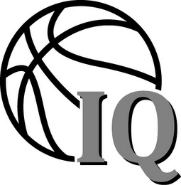 IQ logo