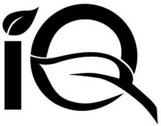 IQ logo