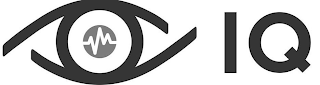IQ logo