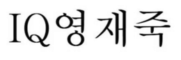 IQ logo