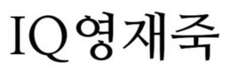 IQ logo