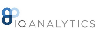 IQ ANALYTICS logo