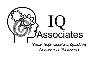 IQ ASSOCIATES YOUR INFORMATION QUALITY ASSURANCE RESOURCE logo