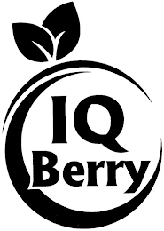 IQ BERRY logo