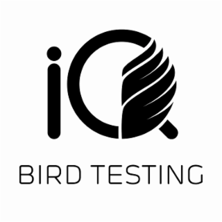 IQ BIRD TESTING logo