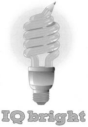 IQ BRIGHT logo