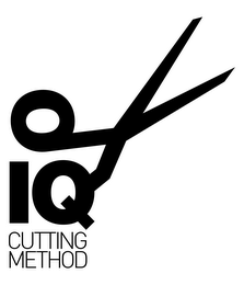 IQ CUTTING METHOD logo