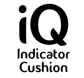 IQ INDICATOR CUSHION logo