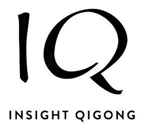 IQ INSIGHT QIGONG logo