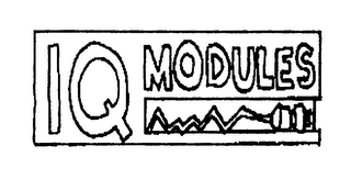 IQ MODULES logo