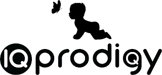 IQ PRODIGY logo