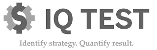 IQ TEST IDENTIFY STRATEGY. QUANTIFY RESULT. logo