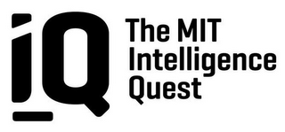 IQ THE MIT INTELLIGENCE QUEST logo