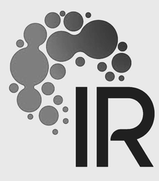 IR logo