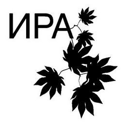 IRA logo
