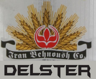 IRAN BEHNOUSH CO. DELSTER logo
