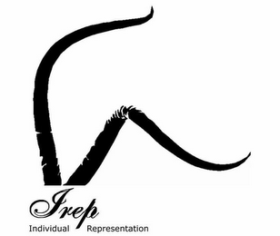 IREP INDIVIDUAL REPRESENTATION logo