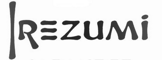 IREZUMI logo