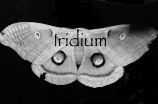 IRIDIUM logo