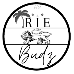 IRIE BUDZ 6/30 logo