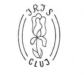 IRIS CLUJ logo