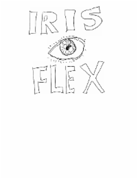 IRIS FLEX logo