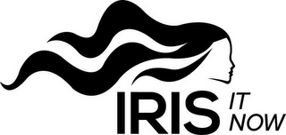 IRIS IT NOW logo