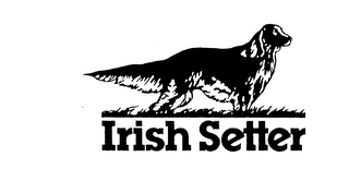 IRISH SETTER logo