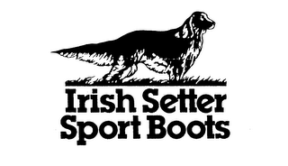 IRISH SETTER SPORT BOOTS logo