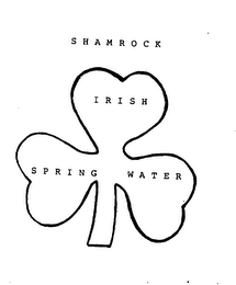 IRISH SPRING WATER logo