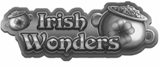 IRISH WONDERS logo