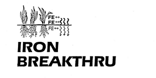 IRON BREAKTHRU FE logo
