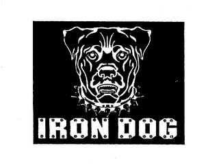 IRON DOG logo