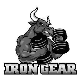 IRON GEAR logo