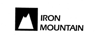IRON MOUNTAIN logo