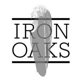 IRON OAKS logo