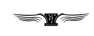 IRON PEGASUS