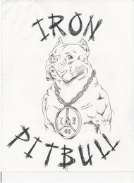 IRON PITBULL I P 45 logo