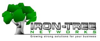 IRON-TREE NETWORKS GROWING STRONG SOLUTIONS FOR YOUR BUSINESS logo