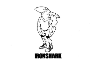 IRONSHARK logo