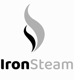 IRONSTEAM logo