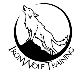 IRONWOLF TRAINING logo
