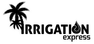 IRRIGATION EXPRESS logo