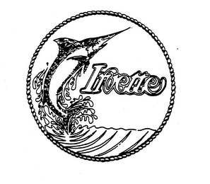 IRVETTE logo