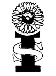 IS logo