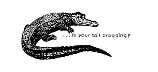 IS YOUR TAIL DRAGGING? logo